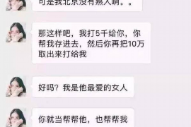 嘉鱼债务清欠服务