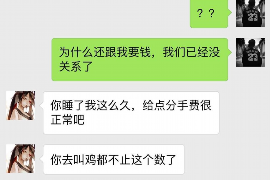 嘉鱼工资清欠服务